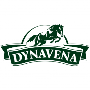 logo-dynavena-hd